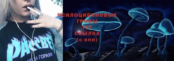 соль ск Вязники